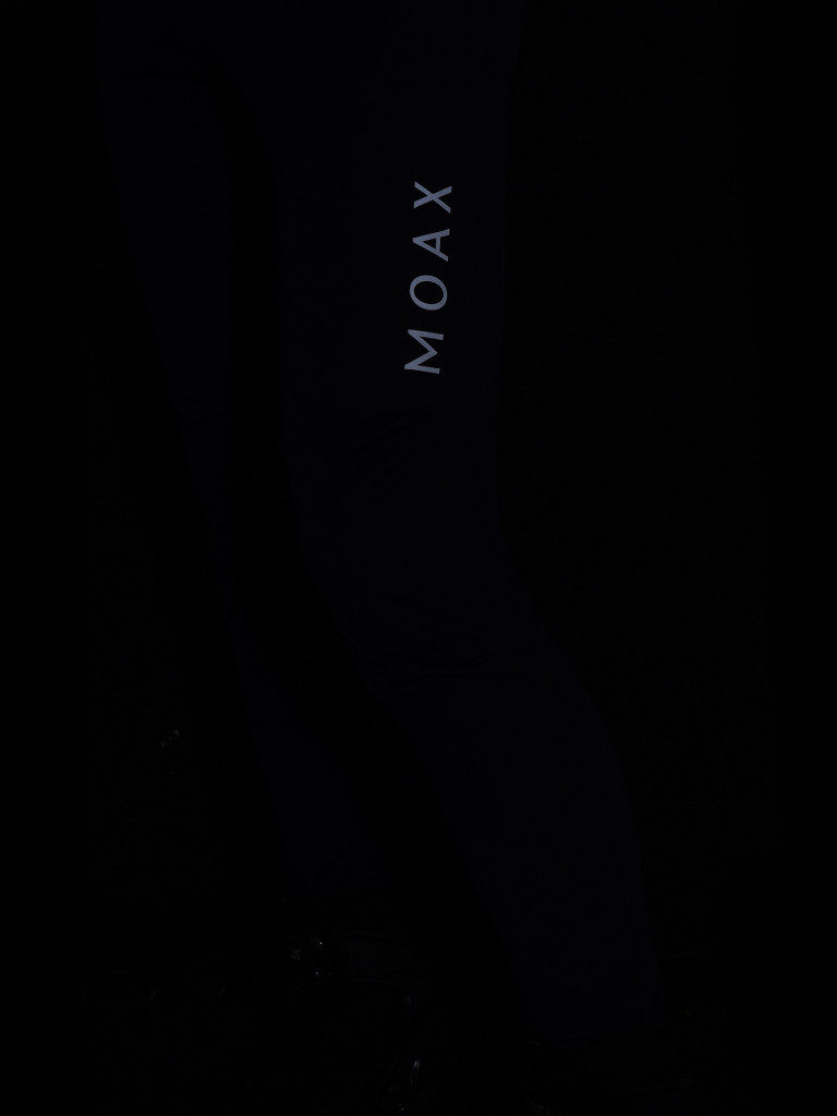 Брюки софтшелл мужские Moaxsport Dynamic