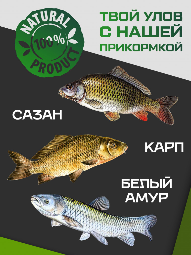 Прикормка для рыбы F-FISHING PRO Carp Ваниль 1кг