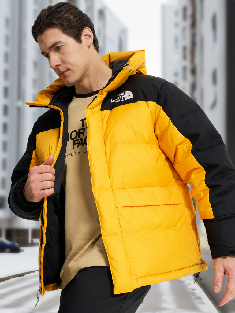 Пуховик мужской The North Face Hmlyn