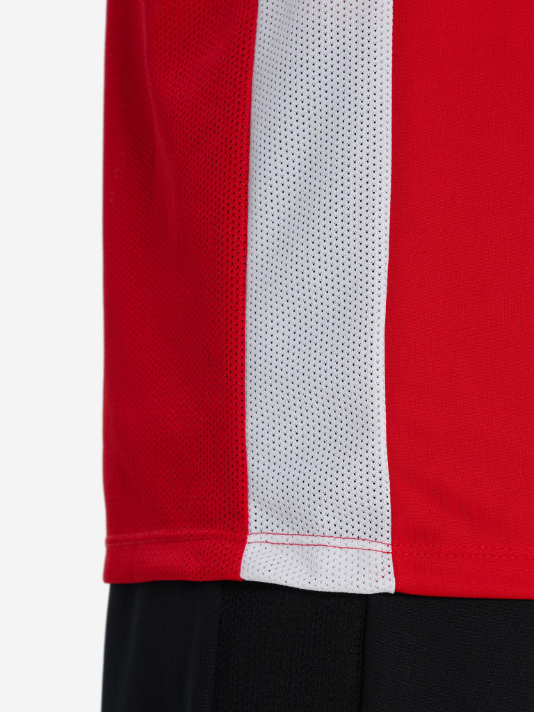 Футболка мужская Nike Acd25