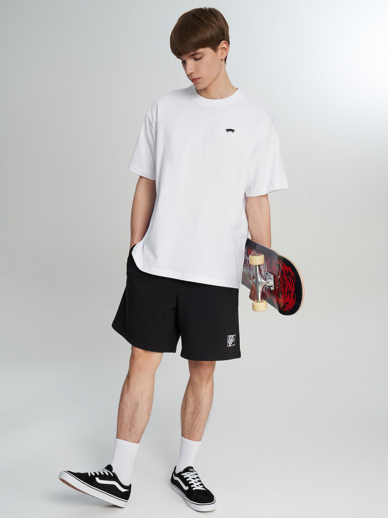 Футболка мужская Vans Salton Loose SS