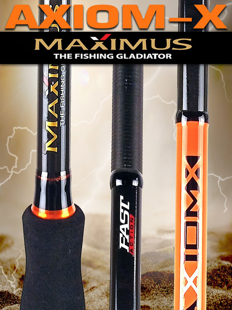 Спиннинг для рыбалки Maximus AXIOM-X 33H 3,3m 15-55g
