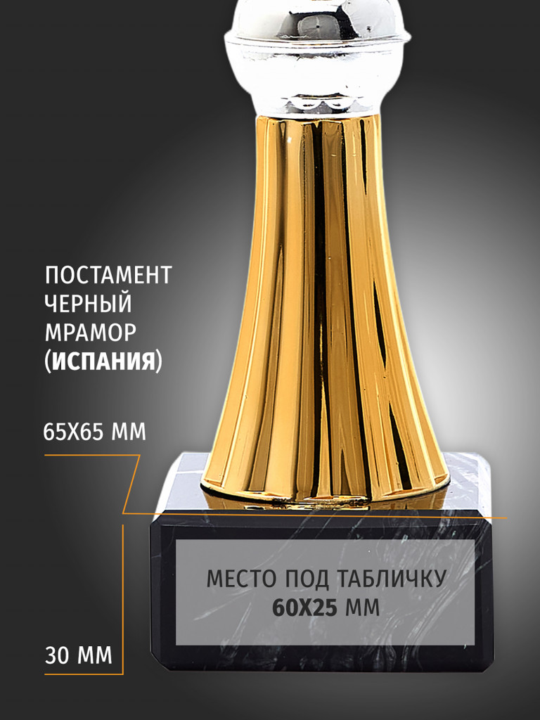 Кубок спортивный для награждения победителей 31 см