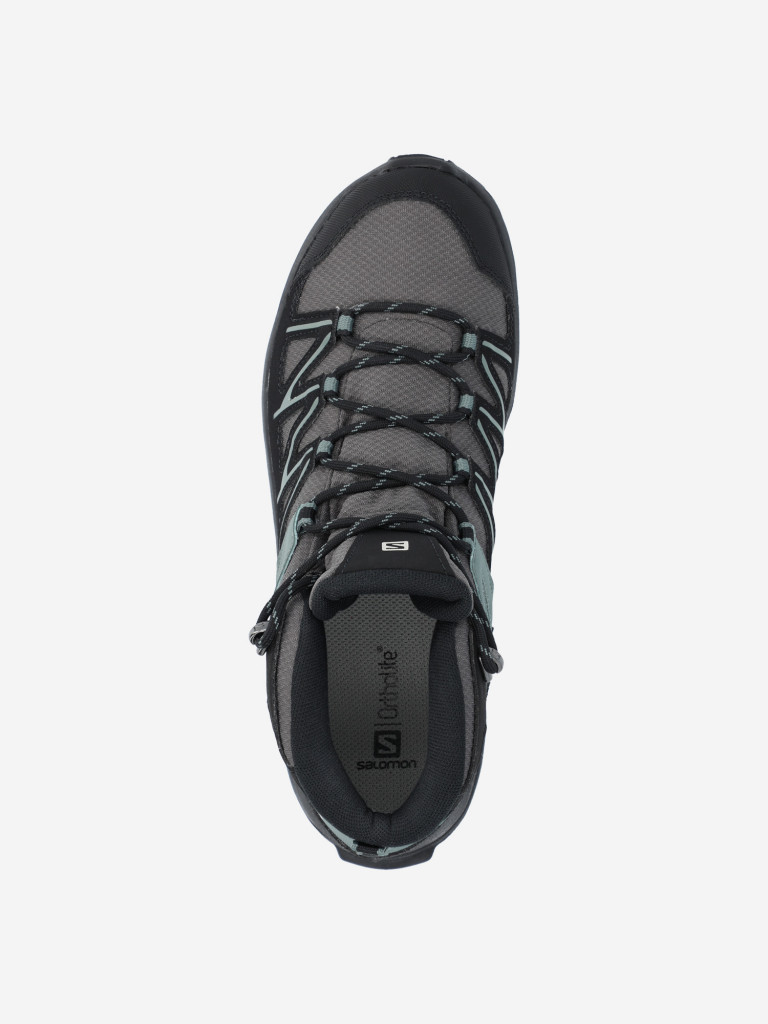 Ботинки мужские Salomon Daintree Mid GTX