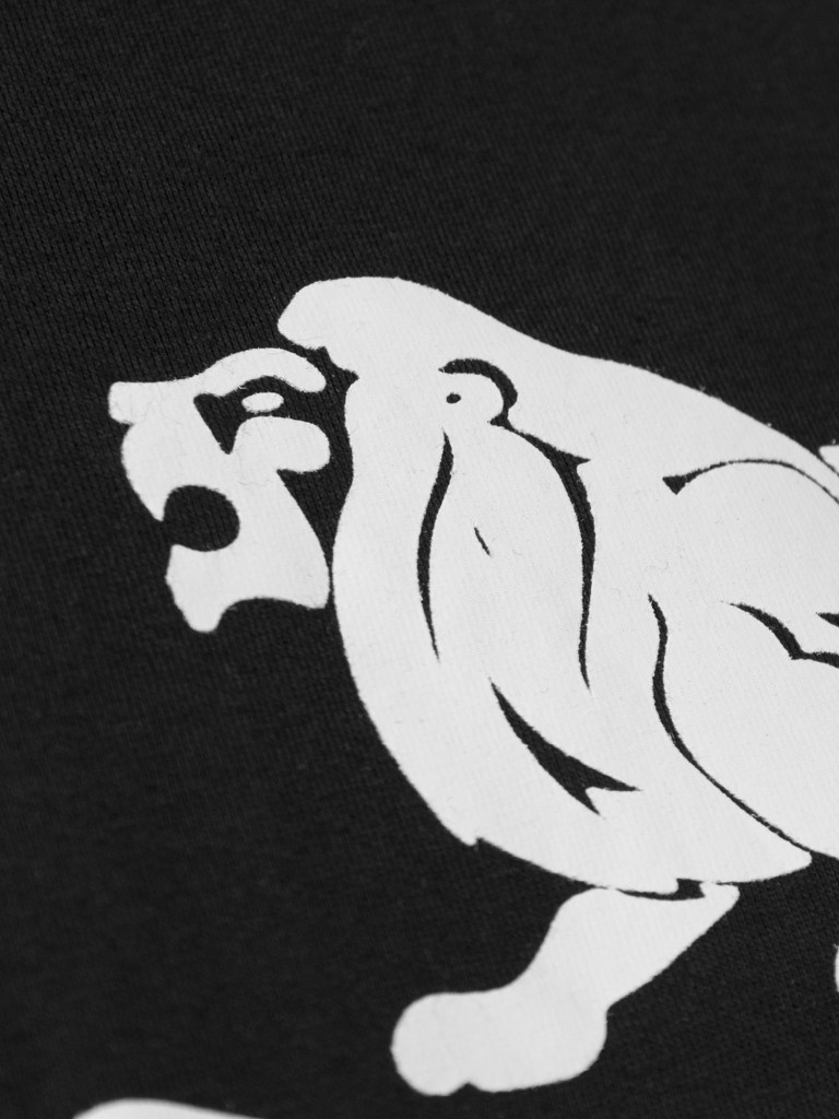 Футболка мужская LONSDALE LOGO