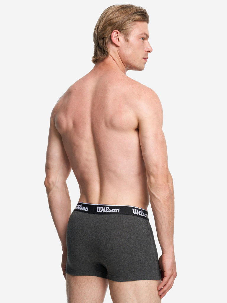 Трусы мужские Wilson, 2 штуки