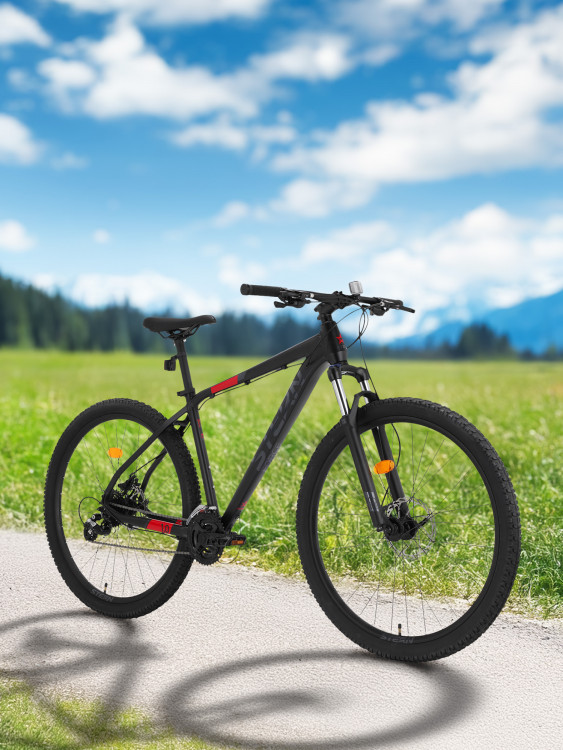 Велосипед горный Stern Force 1.0 29"