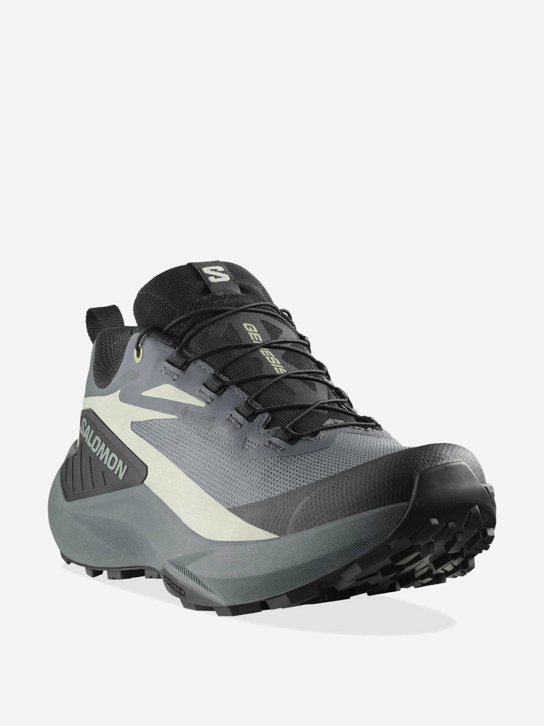Кроссовки Salomon Genesis GTX W
