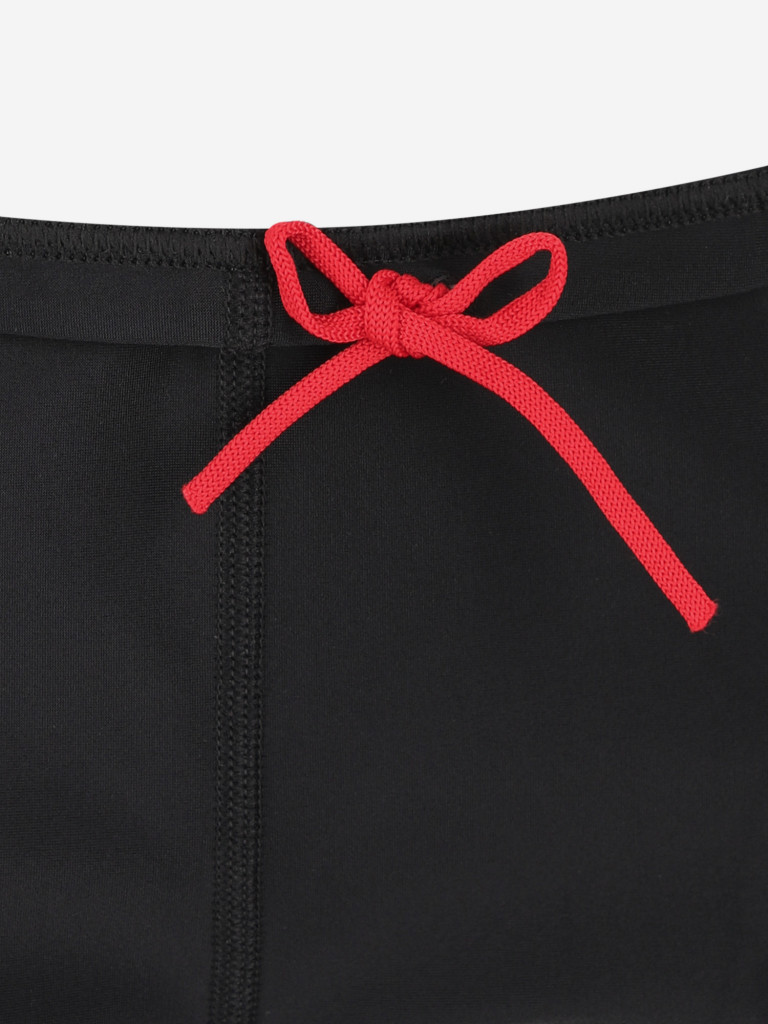 Плавки-шорты для мальчиков Speedo Plastisol Placement