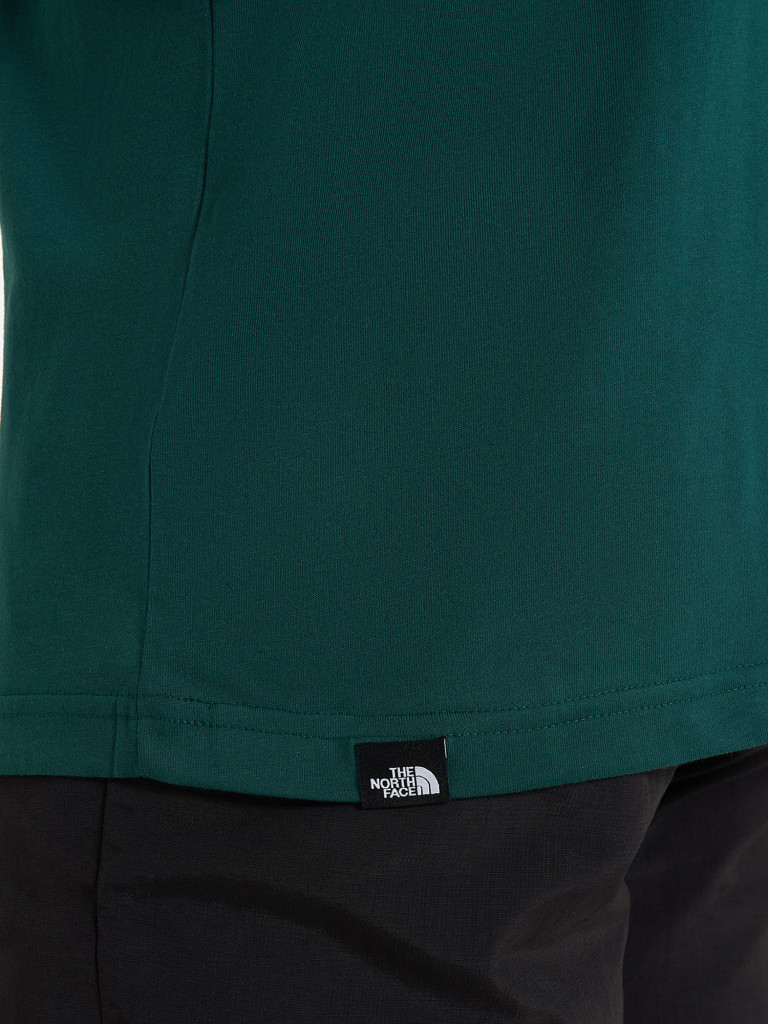 Футболка мужская The North Face Fine