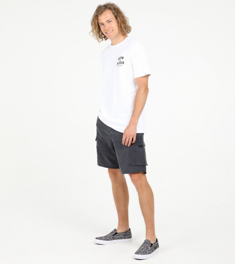 Шорты мужские Quiksilver Rogue Surfwash Amphibian 20