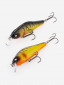 мультицвет