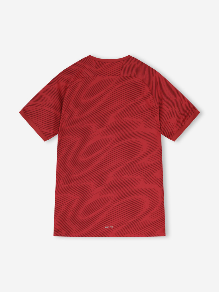 Футболка мужская Demix Winger