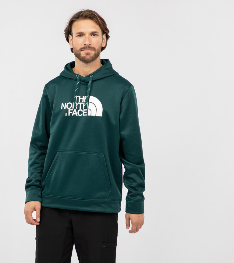 Худи мужское The North Face Surgent