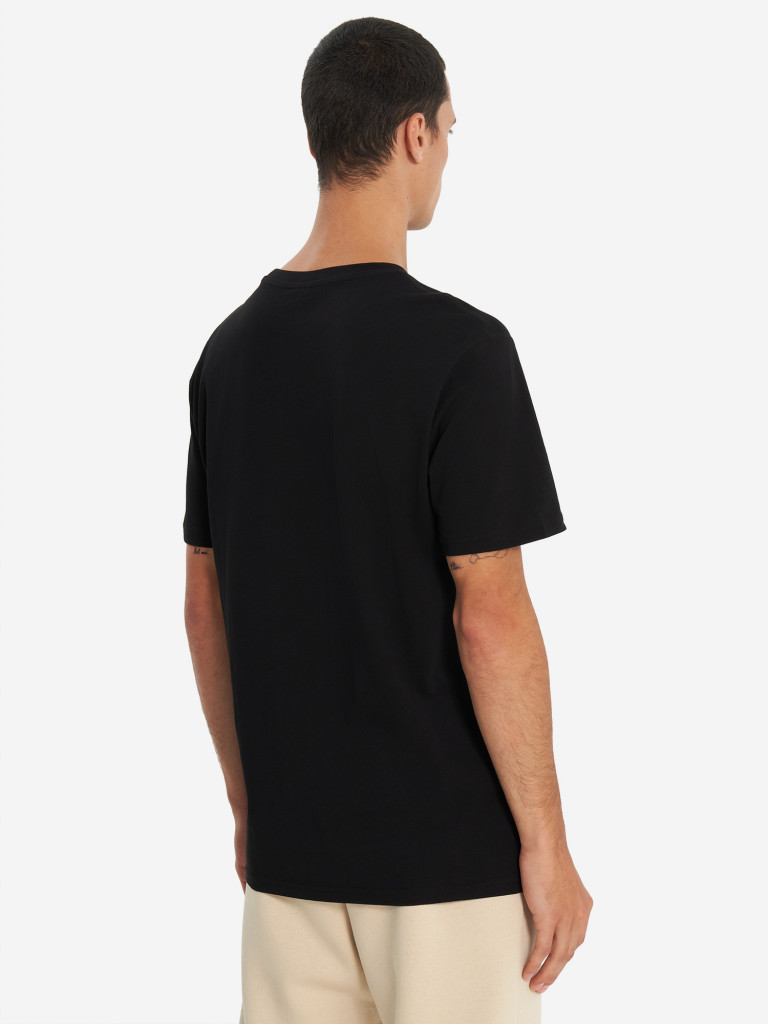 Футболка мужская Champion