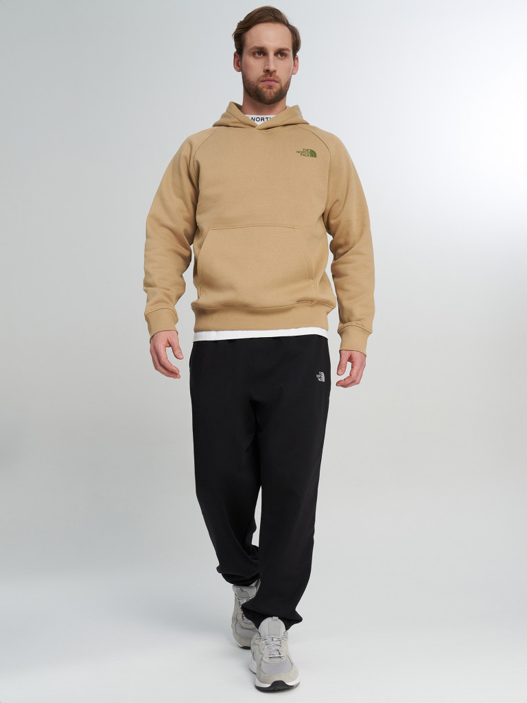 Худи мужское The North Face