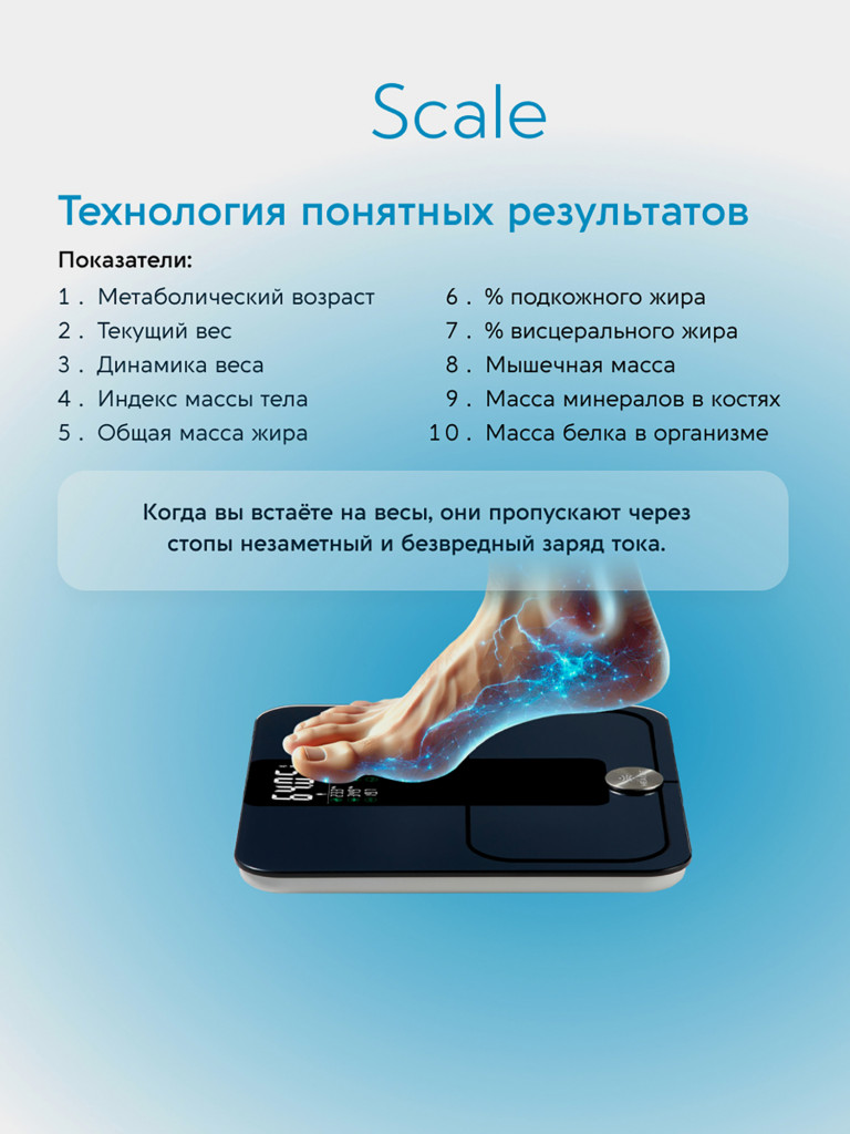 Комплект HEALBE Optimum Control 2