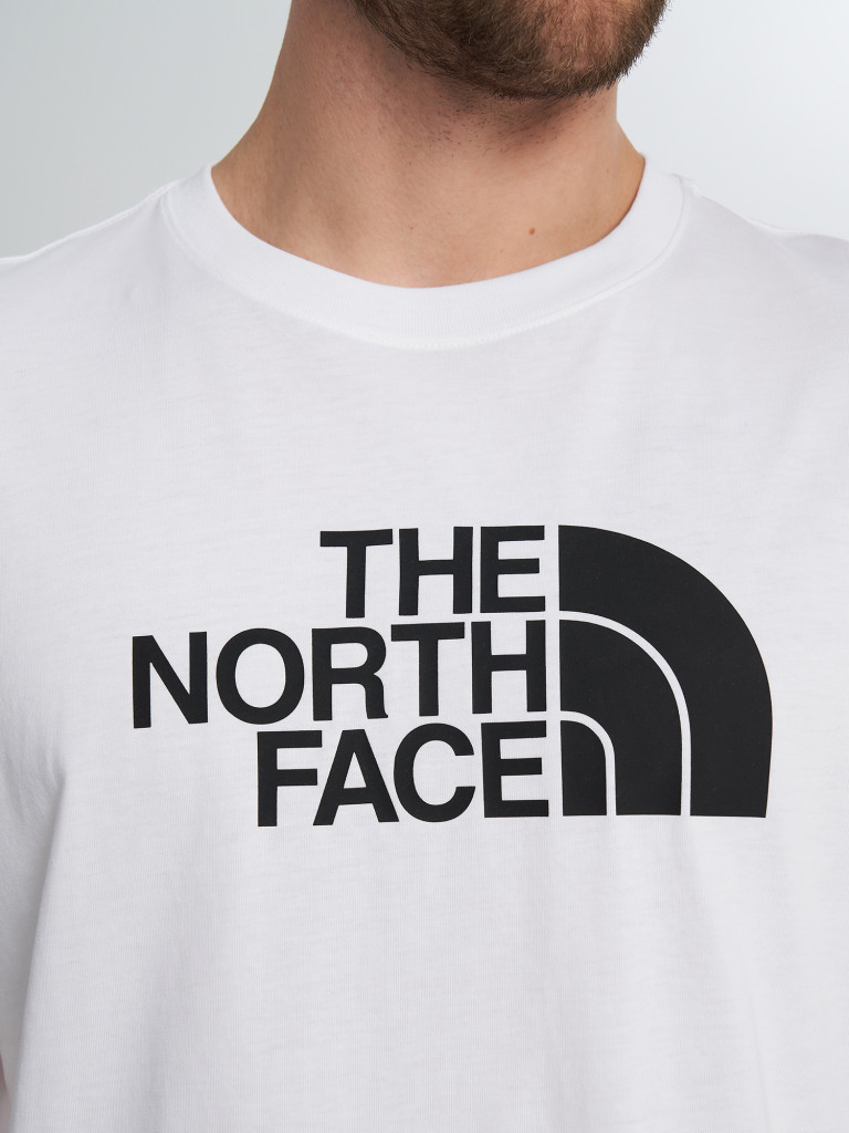Футболка мужская The North Face Evolution