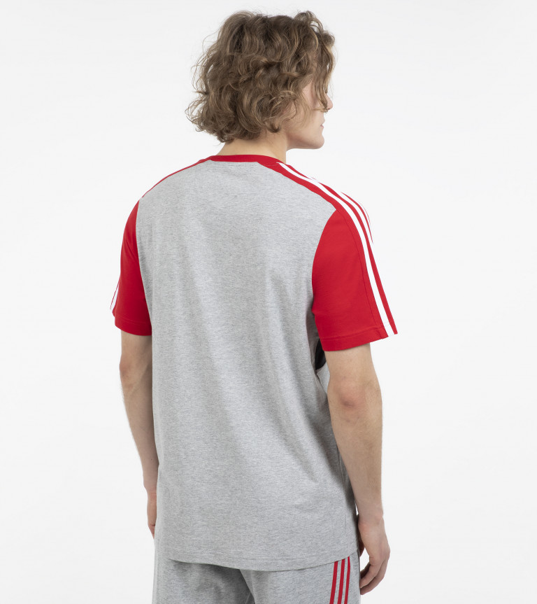 Футболка мужская adidas Essentials Colorblock