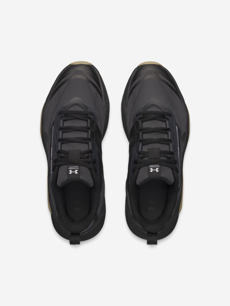 Кроссовки мужские Under Armour Charged Commit Tr 5