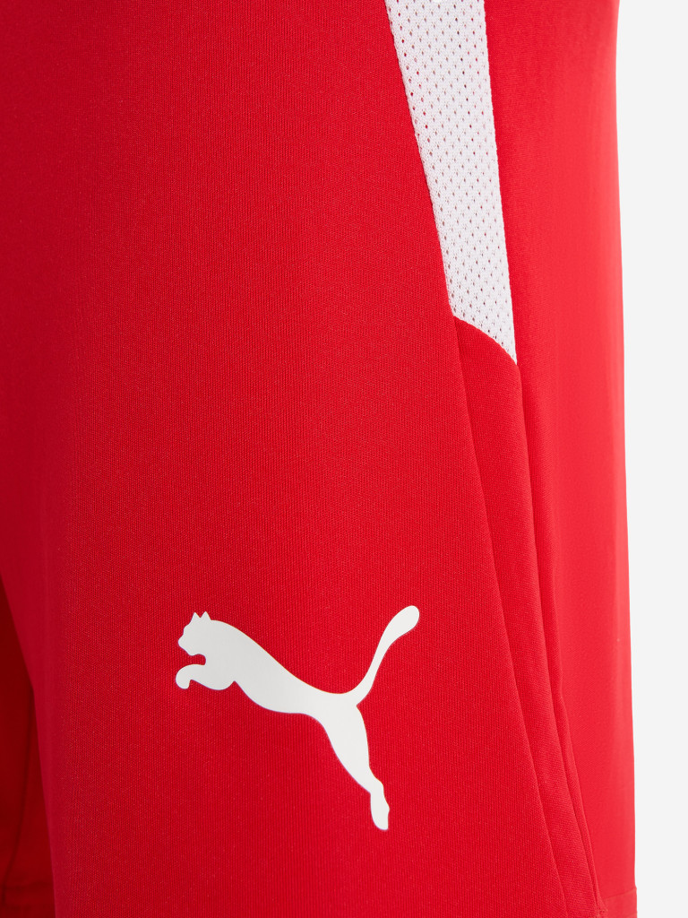 Шорты для мальчиков PUMA Teamliga Jr