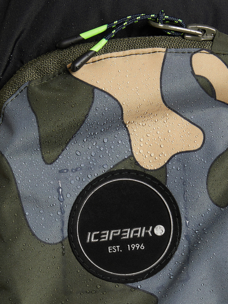 Пуховик мужской IcePeak Earling
