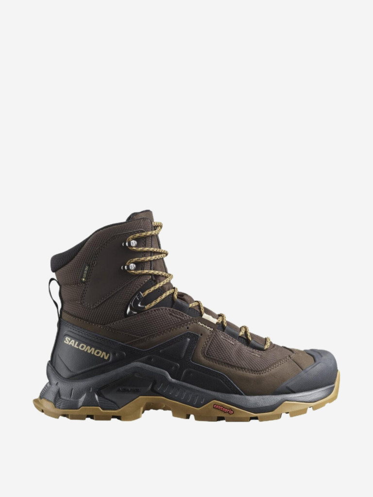 Ботинки мужские Salomon Quest Element GTX