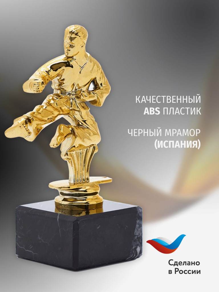 Кубок для награждения победителей Карате 5 шт. Награда для спорта и конкурсов.