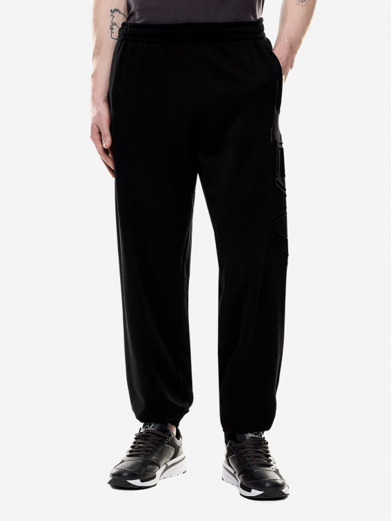 Брюки мужские EA7