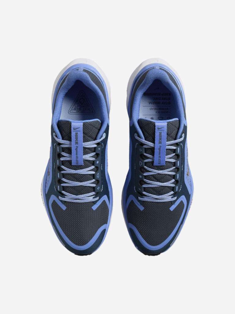 Кроссовки Nike Air Zoom Pegasus 41