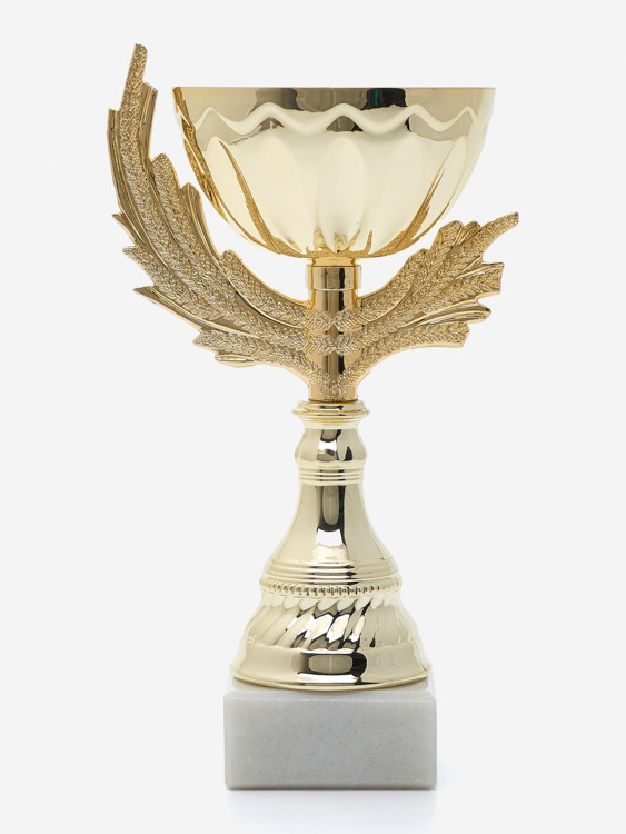 Спортивный кубок для награждения победителя 21.5 см