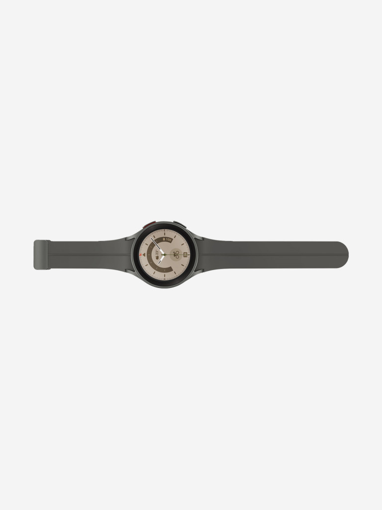 Смарт-часы Samsung Galaxy Watch5 Pro серый титан