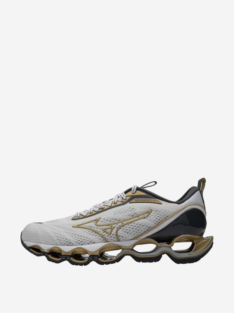 Кроссовки мужские для бега Mizuno Wave Prophecy 11