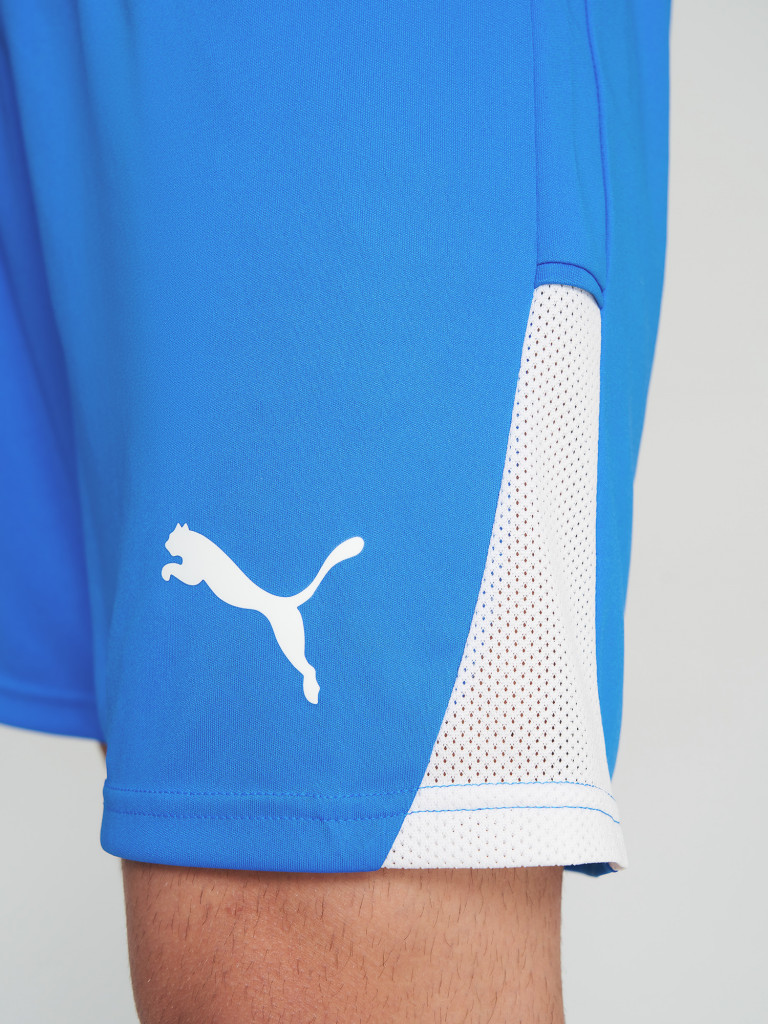 Шорты мужские PUMA Teamliga26
