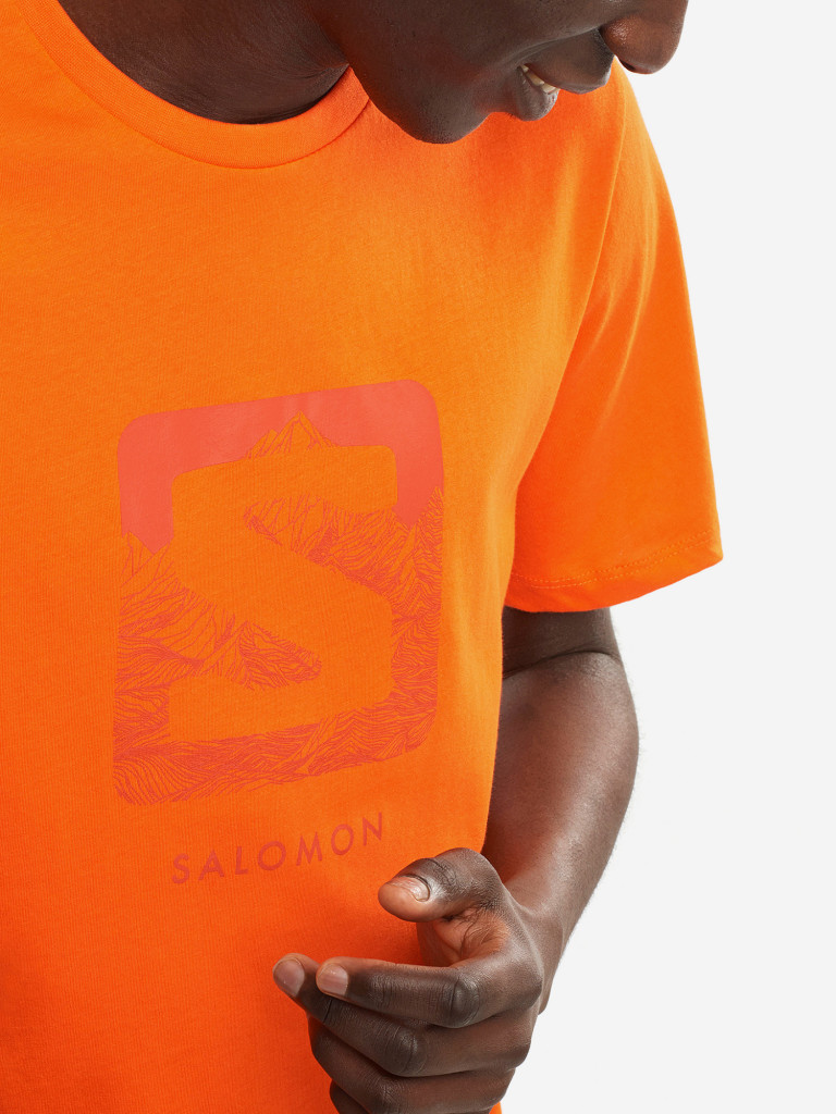 Футболка мужская Salomon Outlife Logo