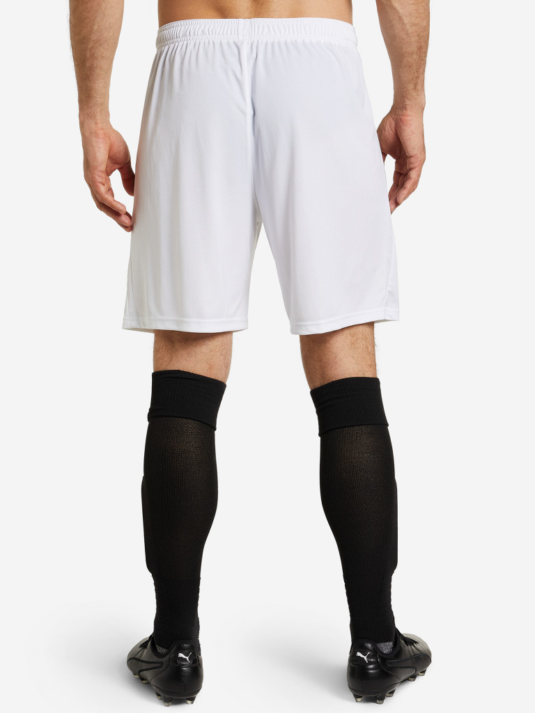 Шорты мужские PUMA teamLIGA