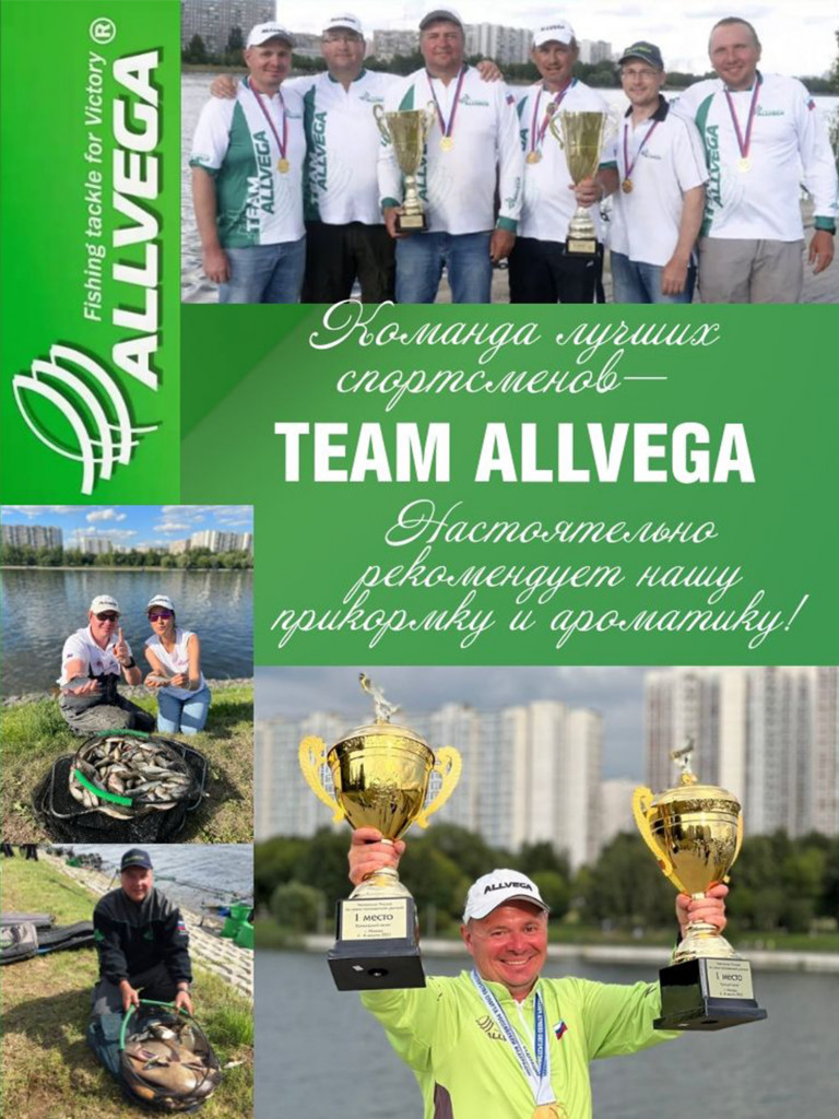 Прикормка для рыбалки ALLVEGA Formula красный лещ 10 пачек