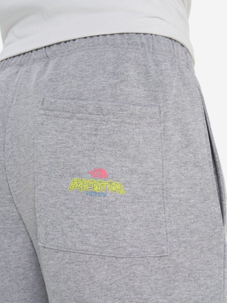 Брюки мужские The North Face Expedition Celebration