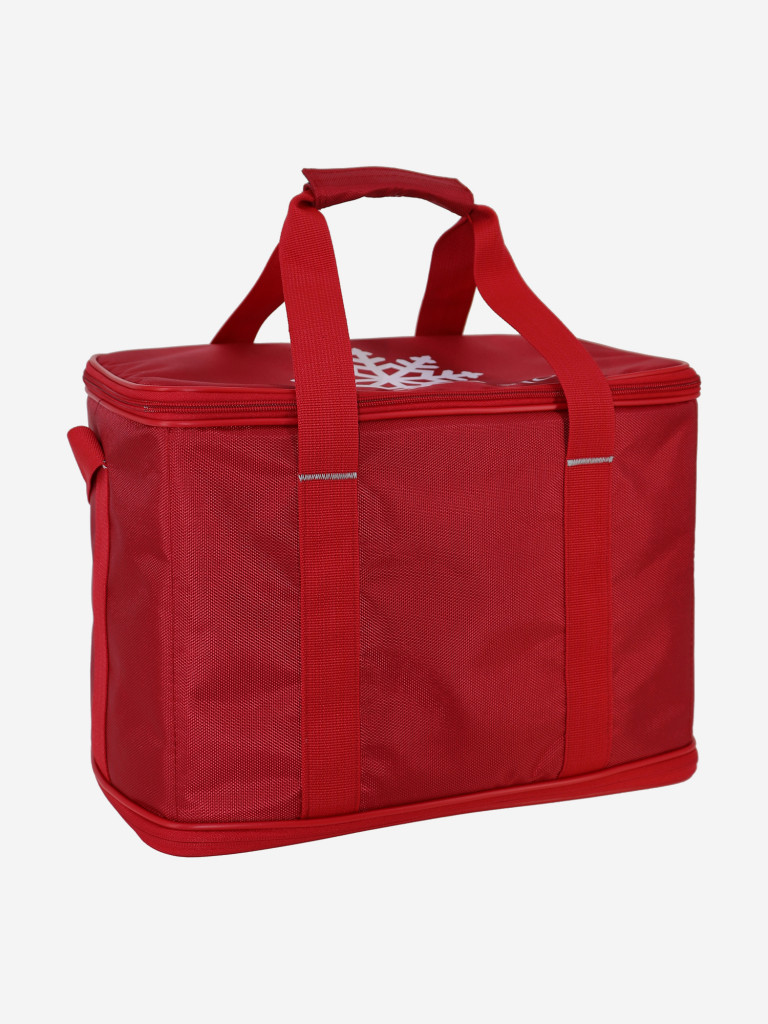 Термосумка Рион+ (RION+)