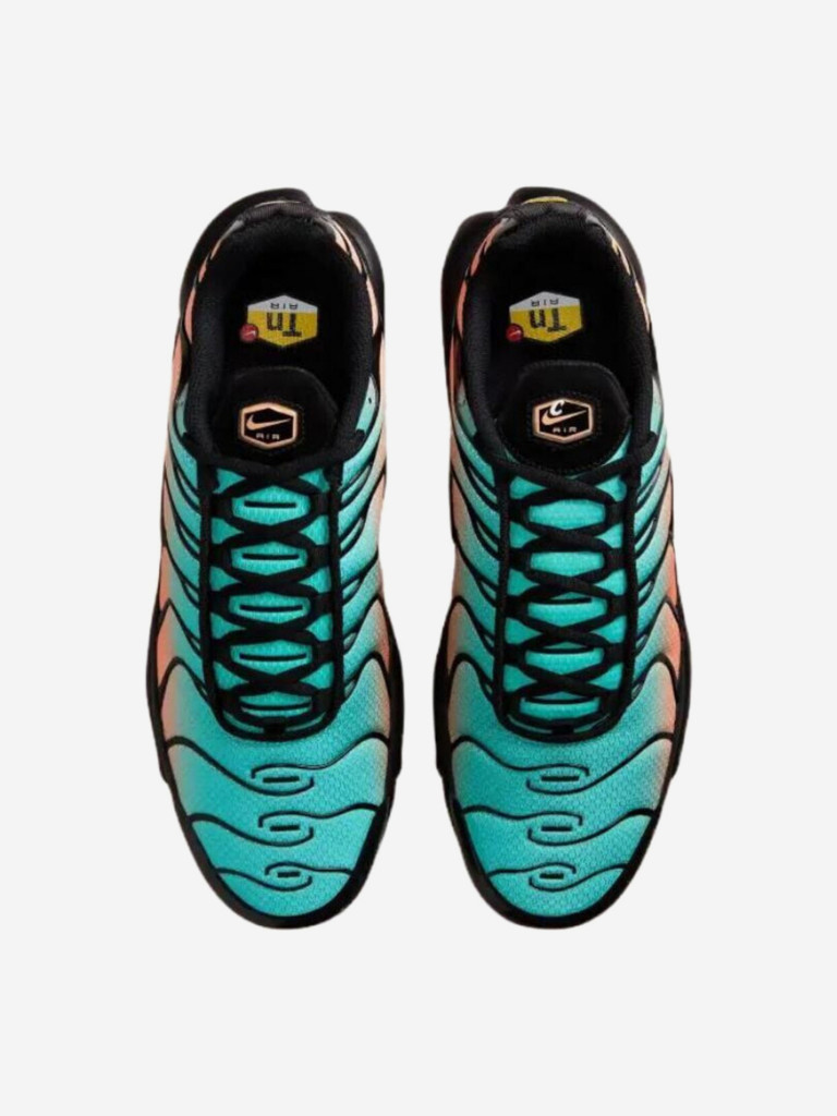 Кроссовки Nike Air Max Plus