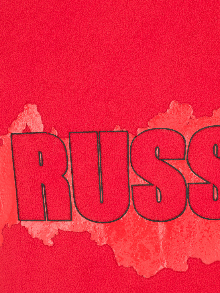 Олимпийка мужская Demix