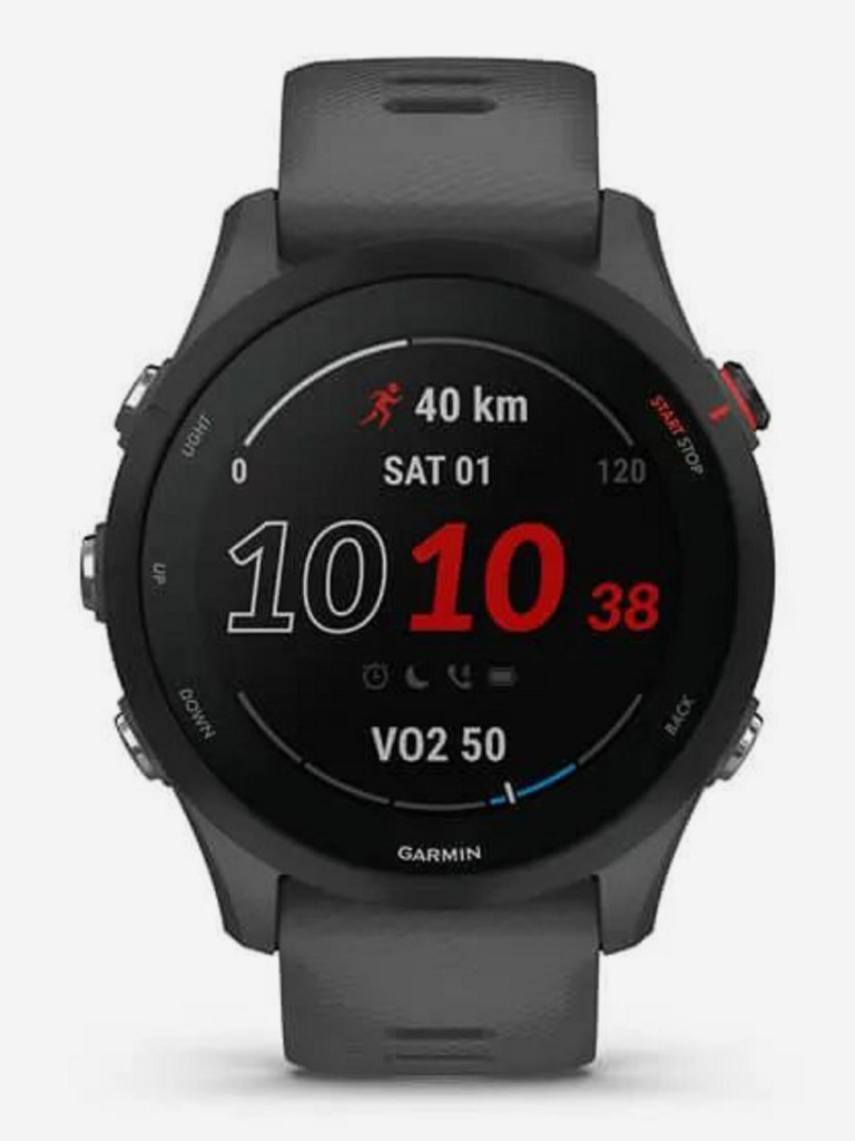 Часы Garmin Forerunner 255 с темно-серым ремешком Slate Grey 010-02641-10
