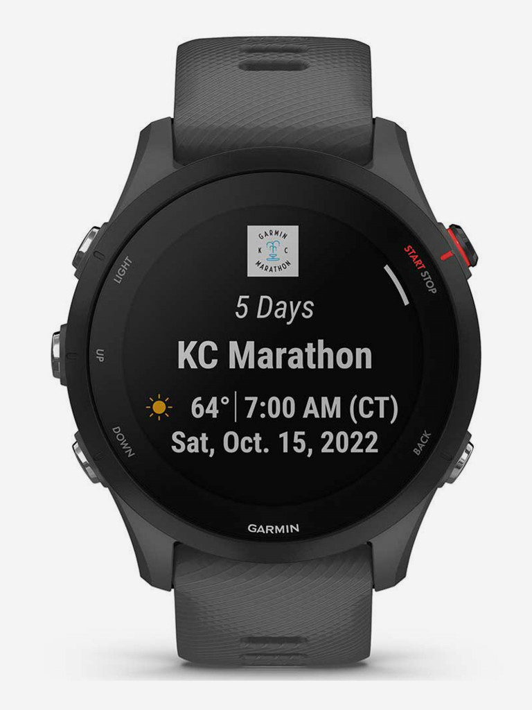 Спортивные часы Garmin Forerunner 255 с серым ремешком