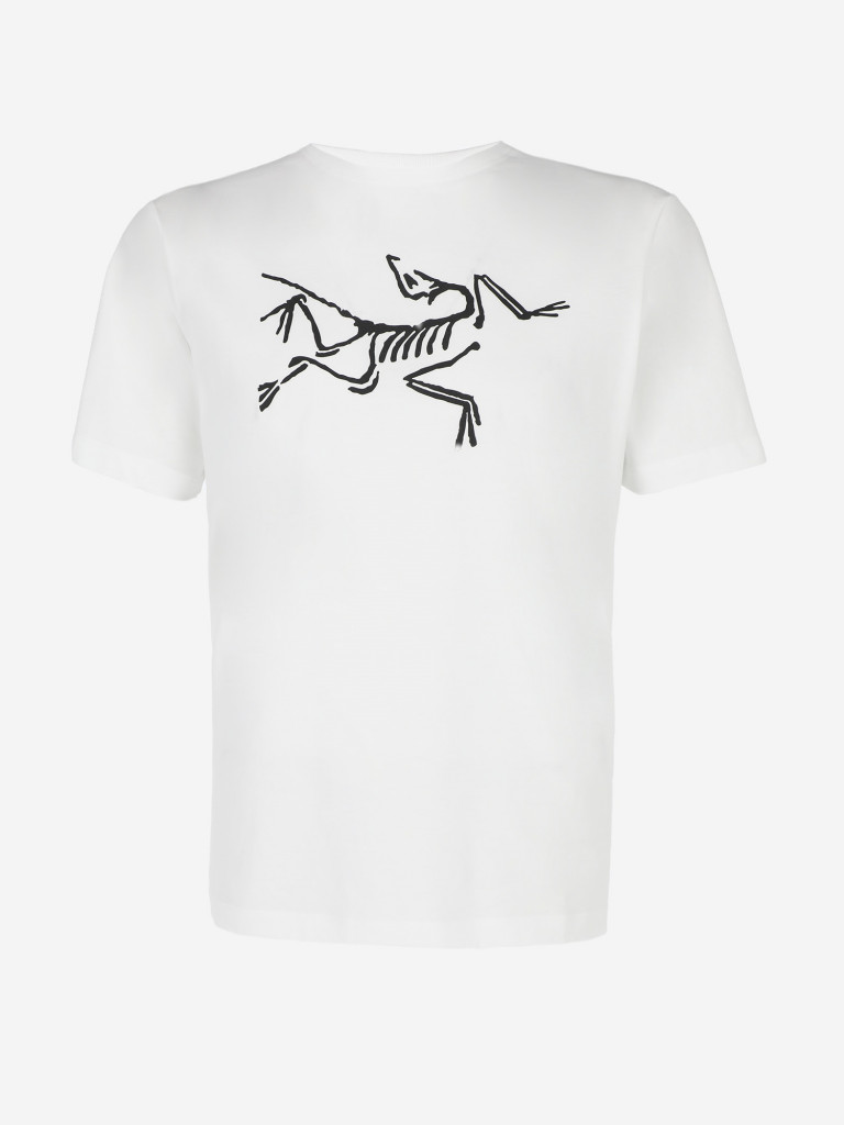 Футболка мужская Arc'teryx Archaeopteryx