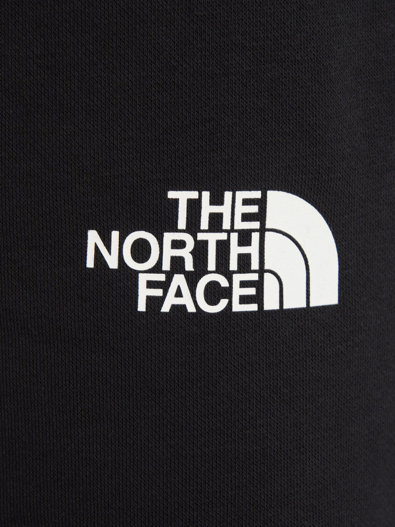 Брюки мужские The North Face Simple Dome