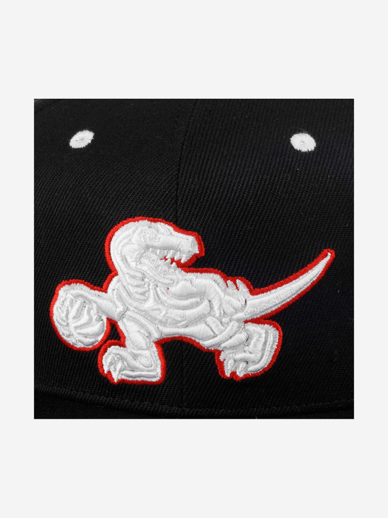 Бейсболка с прямым козырьком MITCHELL NESS 6HSSMM20253-TRABLCK Toronto Raptors NBA (черный)