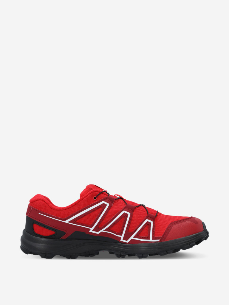Кроссовки мужские Salomon Alkalin Trail