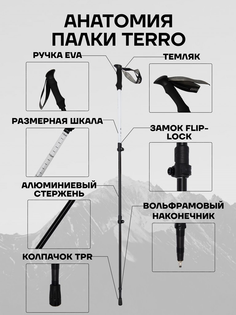 Палки для скандинавской ходьбы - алюминиевые телескопические