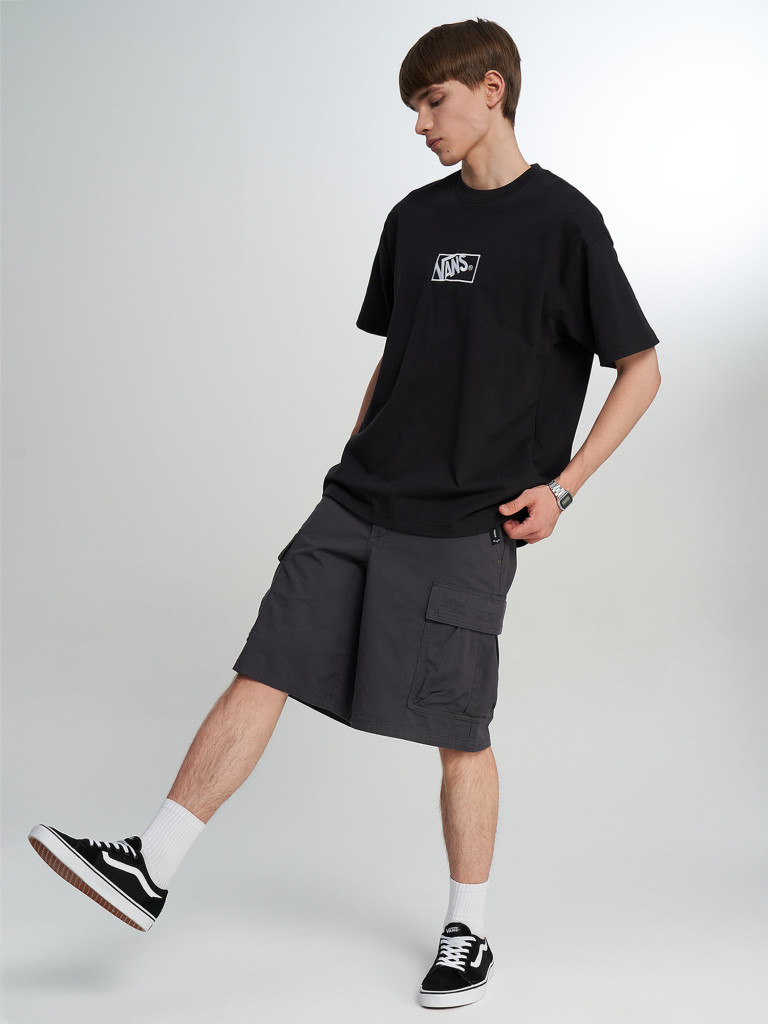 Футболка мужская Vans Blocked Box Loose SS