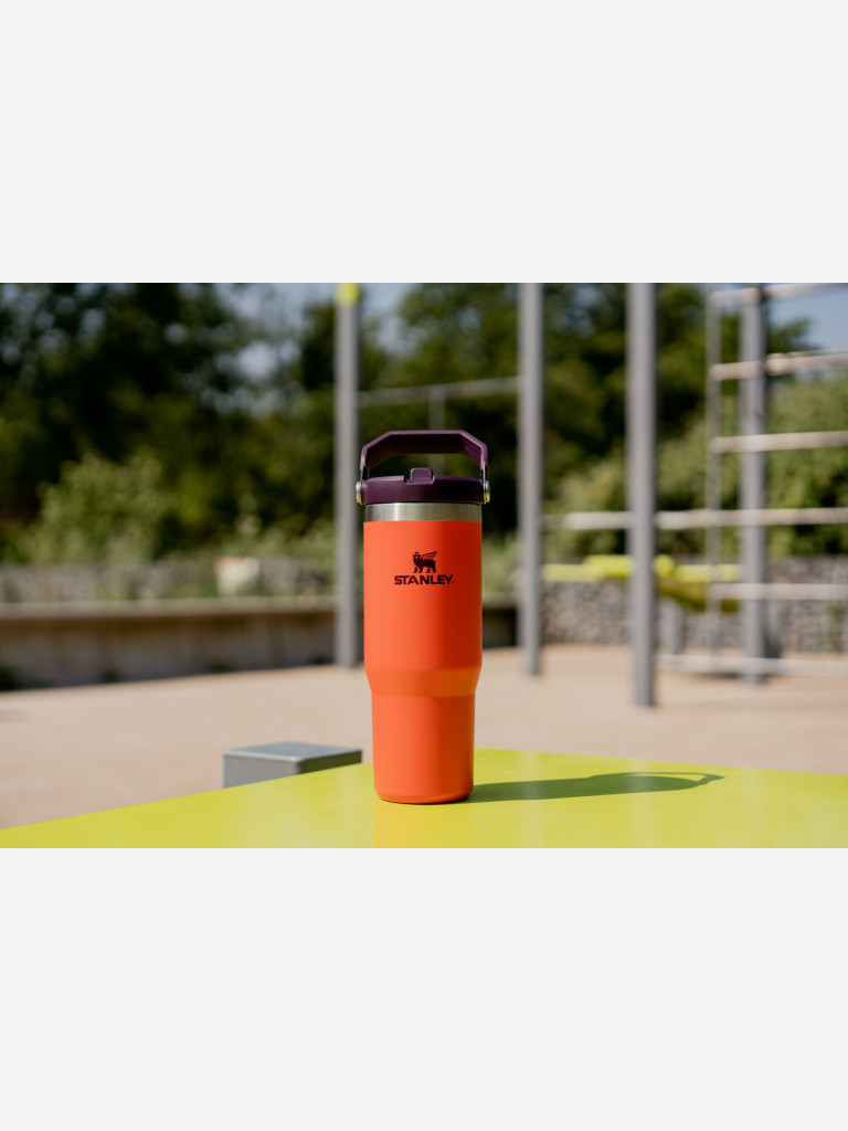 Термокружка Stanley IceFlow Flip Straw Tumbler, 890 мл, оранжевая